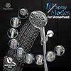 Filtered Shower Head with Handheld